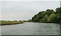 SJ5577 : The River Weaver at Old Moat Wood by Christine Johnstone