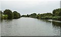  : River Weaver, west of Beckett's Wood by Christine Johnstone