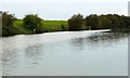  : South bank of the unnavigable River Weaver by Christine Johnstone