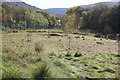 SO2009 : Wildlife area (south), Blaina Scouts HQ by M J Roscoe