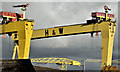 J3575 : Samson and Goliath, Belfast (October 2016) by Albert Bridge