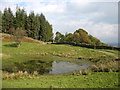 SD3896 : Small tarn above Far Sawrey by David Purchase