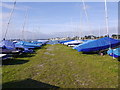 SZ1891 : Sail Boats by Gordon Griffiths