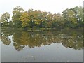 SO8644 : Autumn colours reflected in a fishing pool by Philip Halling