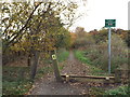 NZ3354 : Bridleway on former railway at Cox Green, near Washington by Malc McDonald