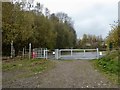 SJ8146 : Silverdale Country Park: path onto Cannel Row by Jonathan Hutchins