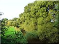 SJ6967 : The River Dane from Croxton Aqueduct by Christine Johnstone