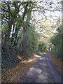 SO6053 : Farm road to Durstone Farm by Philip Halling