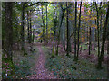 SD3290 : Woodland footpath, Green Hows by Karl and Ali