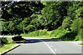 SH7853 : The A470 heading west by Steve Daniels