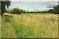 SU1516 : Avon floodplain near Upper Burgate by Derek Harper