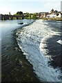 NX9675 : Weir on the River Nith by Philip Halling