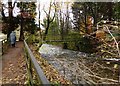 NY3307 : Wooden footbridge crossing the River Rothay by Norman Caesar