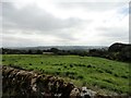 NZ0957 : View south from the road to Hollings farm by Robert Graham