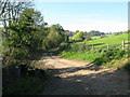 SO8808 : Down Hill to Slad - Painswick, Gloucestershire by Martin Richard Phelan