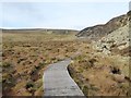 NY8128 : Boardwalk on the Pennine Way below Falcon Clints by Oliver Dixon