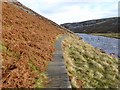 NY8228 : Boardwalk on the Pennine Way beside the River Tees by Oliver Dixon