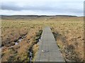 NY8430 : Boardwalk on the Penne Way by Oliver Dixon