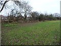 SE3804 : The former Stairfoot lock flight, Dearne & Dove Canal [3] by Christine Johnstone