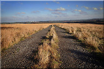  : Track, Blubberhouses Moor by Mick Garratt