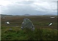 NB2430 : Calanais/Callanish VI, Cùl a' Chleit, Isle of Lewis by Claire Pegrum