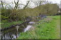 SP3576 : Pipe across the River Sowe, Whitley, southeast Coventry by Robin Stott