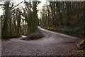 SK1773 : Hairpin Bend at Cressbrook Dale, Derbyshire by Andrew Tryon