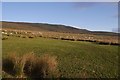 NS6979 : Pasture above Corrie by Richard Webb