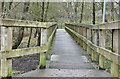 J2890 : Boardwalk, Sixmilewater Park, Ballyclare (January 2017) by Albert Bridge