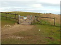 TQ3213 : South Downs Way near Ditchling Beacon by Malc McDonald