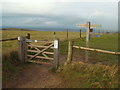 TQ3112 : Footpath on the South Downs near Ditchling Down by Malc McDonald