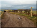 TQ3112 : South Downs Way near Clayton by Malc McDonald