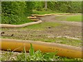 TQ0451 : Clandon Park - Fire Hoses by Colin Smith