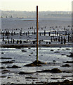 NS3674 : Measured Mile post in the Clyde at Parklea by Thomas Nugent