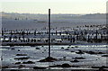 NS3674 : Measured Mile post in the Clyde at Parklea by Thomas Nugent