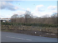 SE2019 : Tree nursery, Granny Lane, Mirfield by Stephen Craven