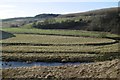 NS5914 : Haugh beside the Nith by Richard Webb