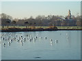 TQ3377 : Frozen lake in Burgess Park by Malc McDonald