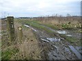 SE4747 : Waymarked public footpath, off The Avenue by Christine Johnstone