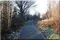 SH7129 : Forest track at Bryn Eden by Jeff Buck