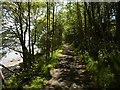  : Lochside path by Richard Webb