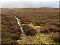 SE0199 : Footpath through the heather by John H Darch