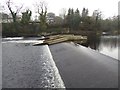 NZ0416 : Barnard Castle Weir on the River Tees by Oliver Dixon