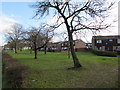 SO4938 : Early February 2017 view of deciduous trees on the south side of Belmont Road, Hereford by Jaggery