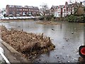 TQ1977 : Kew Green pond by Michael Dibb