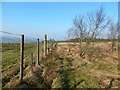 NS4178 : Fence at the edge of a field by Lairich Rig