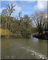 TL4355 : Grantchester millpond: storm damage by John Sutton