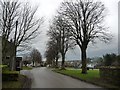 NY6825 : Dufton's lime trees in winter by Christine Johnstone