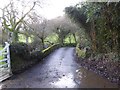 SX7348 : Bridge over Tor Brook at the Mill Cottage by David Smith