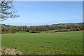 ST9539 : View north-east from Sherrington - Boyton road by Robin Webster